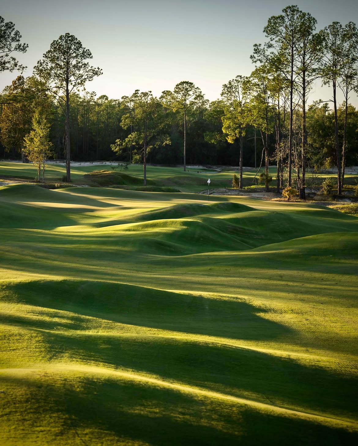 Course view at Cabot Citrus Farms