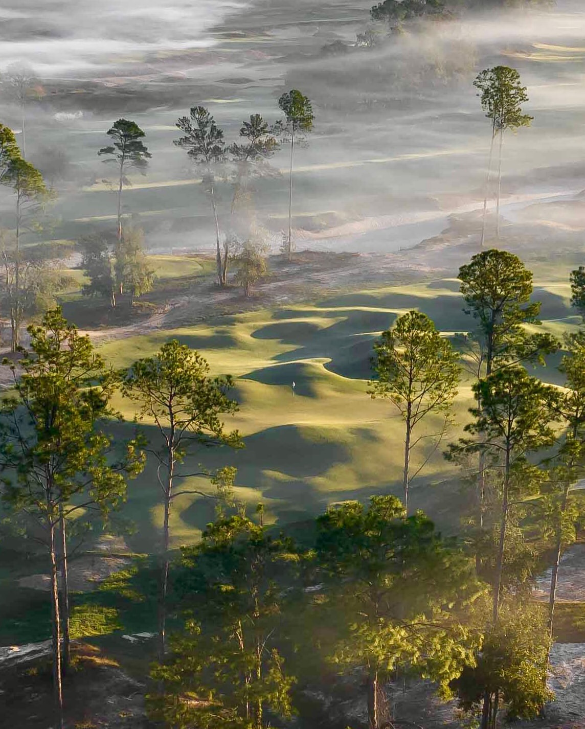 Golf landscape at Cabot Citrus Farms